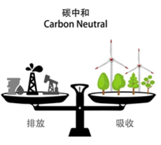 碳中和